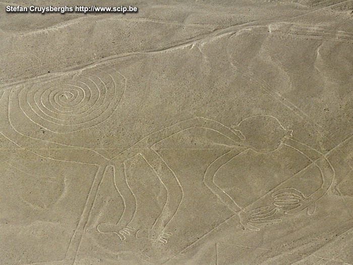 Nazca - Monkey  Stefan Cruysberghs